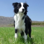 Mayさんのプロフィール画像