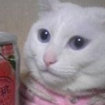 tamaさんのプロフィール画像