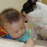 ももさんのプロフィール画像