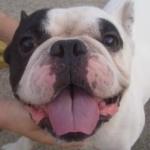 じょんちゃんさんのプロフィール画像