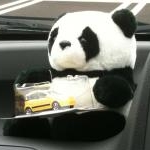 Nassyさんのプロフィール画像