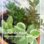 dekoさんのプロフィール画像