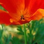 プラミナミさんのプロフィール画像