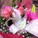 Hello!Hello!Hello!さんのプロフィール画像