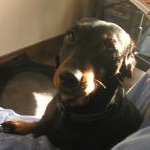 yux2さんのプロフィール画像