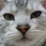 悠月さんのプロフィール画像