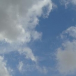 のびたみぃさんのプロフィール画像