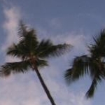 kaoriさんのプロフィール画像