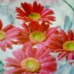 のびちゃんさんのプロフィール画像