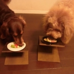 タヒチママさんのプロフィール画像