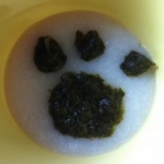 きの子さんのプロフィール画像