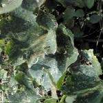 うりりさんのプロフィール画像