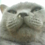 かずかるさんのプロフィール画像