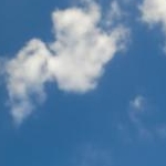 ぽーさんのプロフィール画像