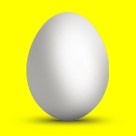 けんた玉子さんのプロフィール画像