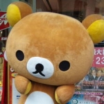 ようこさんのプロフィール画像