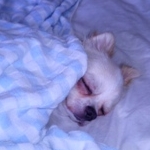 あきさんのプロフィール画像