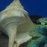 サテライトさんのプロフィール画像