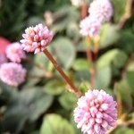 mocoさんのプロフィール画像