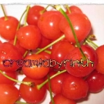 みいたんさんのプロフィール画像