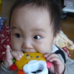 ゆずこさんのプロフィール画像