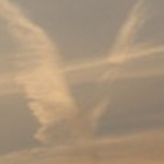 inaba26さんのプロフィール画像