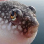 はちさんのプロフィール画像