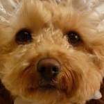 愛紗さんのプロフィール画像