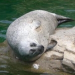 みゅふさんのプロフィール画像