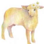 shinoさんのプロフィール画像