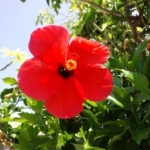 JUNさんのプロフィール画像