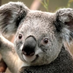 きづきさんのプロフィール画像