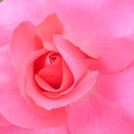 yuushige0804さんのプロフィール画像