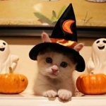 ひぃさんのプロフィール画像