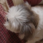 noriさんのプロフィール画像