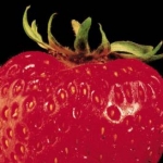 しゅーまいさんのプロフィール画像