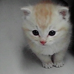 きなさんのプロフィール画像