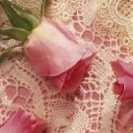 のんたんさんのプロフィール画像