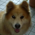 ピートさんのプロフィール画像