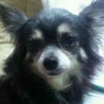 りせさんさんのプロフィール画像