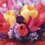 kenkenさんのプロフィール画像