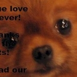 オチャメさんのプロフィール画像