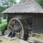 rin*19*4*20さんのプロフィール画像