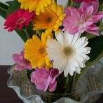 ｔｏｍｏｋｉｃｈｉ