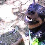 barbietweetyさんのプロフィール画像