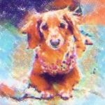 のんふくさんのプロフィール画像