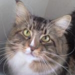 ＲＥ－さんのプロフィール画像