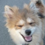 ayame0503さんのプロフィール画像