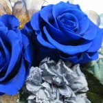 sucre*さんのプロフィール画像