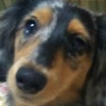 ＊みやち＊さんのプロフィール画像